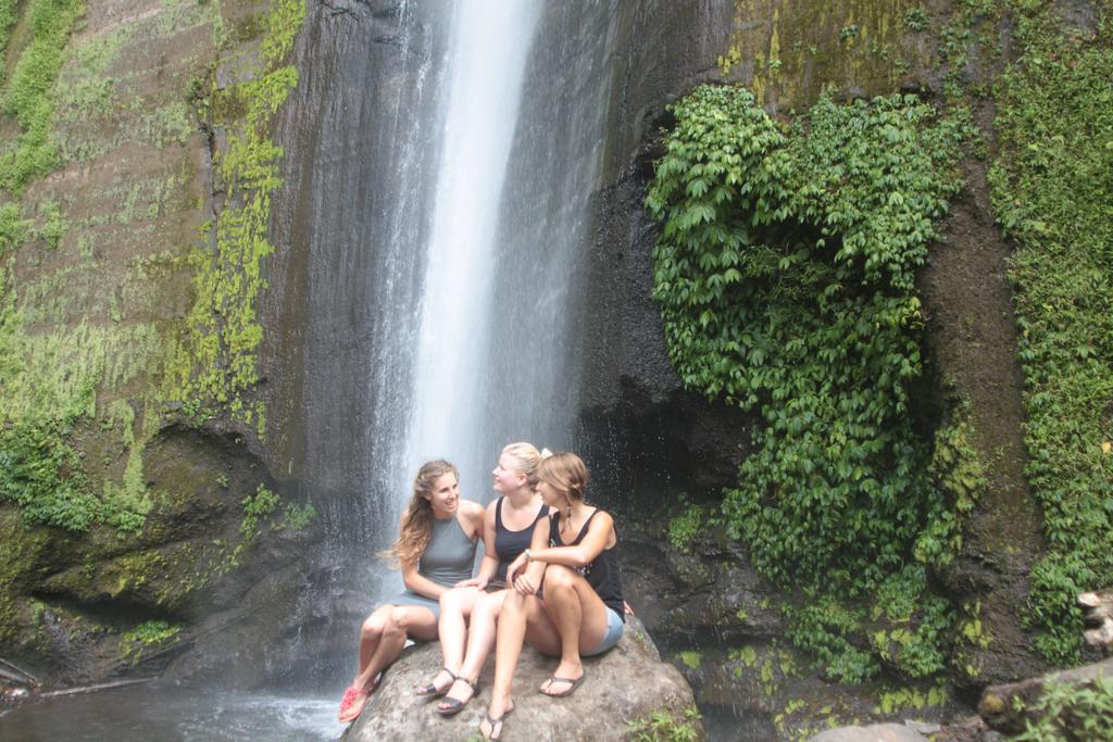 Ijen Bondowoso Home Stay Buitenkant foto